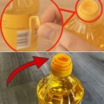 La plupart des gens pensent que le dessus des armoires de cuisine est inutile. Voici comment les utiliser correctement