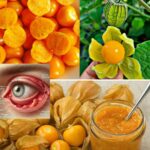 Comment aider les orchidées à fleurir avec du jus de citron