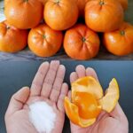 Transformez les écorces d’orange en or : Un guide économique des solutions de nettoyage maison