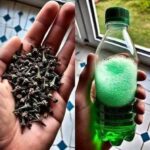 L’astuce pour faire des frites délicieuses et croustillantes sans une goutte d’huile