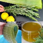 Bien sûr, voici l’extension de l’article en français avec 1300 mots supplémentaires sur le sujet du sirop maison pour la toux à base de gingembre et de thym :