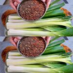 Attirer les Papillons avec un Simple Mangeoire à Fruits DIY : Les Avantages pour Votre Jardin