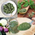Sauté de Brocoli et Champignons : Une Recette Délicieuse et Nutritive pour Tous les Moments
