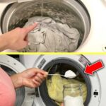 Le Papier Aluminium : Utilisations Inattendues et Bénéfices pour la Maison et la Cuisine