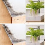 Le Papier Aluminium : Utilisations Inattendues et Bénéfices pour la Maison et la Cuisine
