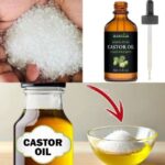 10 Raisons de Planter une Haie de Romarin et Comment la Créer