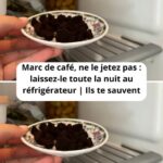 Comment conserver les pommes de terre : 3 astuces pour éviter qu’elles ne germent