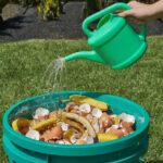 Transformez votre jardin : Engrais puissant et gratuit à base de peaux de banane et de coquilles d’œufs