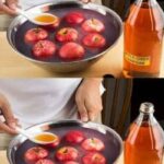 Tu ne jetteras plus jamais la languette d’une canette après avoir découvert cette astuce géniale !