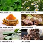 12 façons incroyables dont l’aloé vera peut améliorer votre routine quotidienne