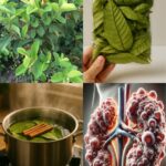 Pâte à crêpes : la meilleure recette facile et délicieuse à réaliser chez soi
