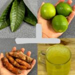 Personne ne devrait mourir du cancer, ni perdre la vue : découvrez cette recette naturelle puissante pour éliminer les cellules cancéreuses et soigner la cataracte