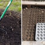 Comment Faire un Engrais Maison Pour Votre Jardin