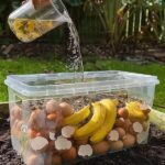 Comment Transformer des Bouteilles en Plastique en un Système d’Irrigation Rotatif DIY