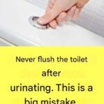 Nettoyant pour Four Fait Maison : Une Solution Puissante et Naturelle pour Éliminer Graisse et Saleté