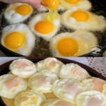 Découvrez la Plante de la Jeunesse Éternelle : L’Aloe Vera