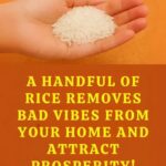 Gâteau Magique Italien au Citron