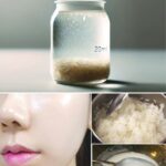 Une fille de 14 ans achète un van délabré pour 200 euros et le restaure