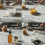 Tomates fraîches pendant 2 ans, sans vinaigre : la méthode infaillible pour les conserver si longtemps 🍅