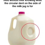 Tomates : Bien plus qu’un simple goût explosif