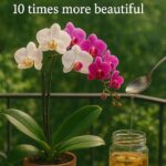 Si seulement j’avais su plus tôt !