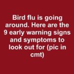 🌸 Orchidée très luxuriante : si vous l’arrosez avec ceci, elle sera 10 fois plus belle