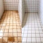 L’Origan : La Plante la Plus Puissante du Monde