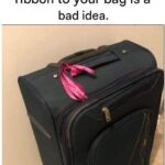 🌱 Pourquoi vous ne devriez pas arracher le pourpier de votre jardin : 8 raisons convaincantes