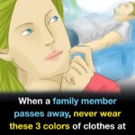 Une fille découvre des œufs étranges sous son lit, provoquant le départ de sa famille de la maison