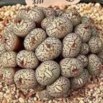 3 couleurs à ne jamais porter à un enterrement