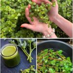 🎀 Pourquoi attacher un ruban à sa valise pourrait être une mauvaise idée ? Un expert dévoile les risques — et les alternatives sûres ✈️