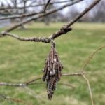 Idées Brillantes : Comment Cultiver Votre Potentiel Créatif