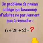 🌱 Réutiliser les Coques de Pistaches : Comment les Réduire en Poudre et les Utiliser dans Votre Jardin