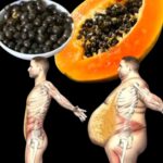 La règle 50/30/20 : comment gérer votre argent avec cette méthode simple 💸