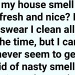 🫐 Comment faire pousser des myrtilles à l’infini dans votre jardin