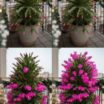 Éliminer le tartre de vos dents et les blanchir avec cette recette simple