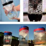 12 idées magnifiques pour entraîner vos plants de pothos à la maison