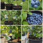 Elle perce des porte-ustensiles en métal du Dollar Store et y ajoute des lumières : cette astuce a l’air bien plus chère qu’elle ne l’est