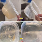 Wow, je n’apprends cela que maintenant