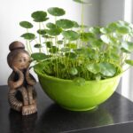 Choisissez un ingrédient à éliminer pour toujours