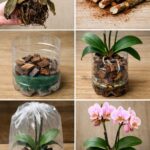 J’ai hérité d’une boîte d’ustensiles et cette pince effrayante se trouvait à l’intérieur. Elle s’ouvre comme des ciseaux avec des plaques dentelées au bout. On dirait un instrument médical ?