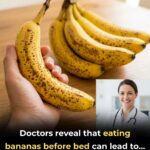 Lemon Syllabub : Le dessert anglais léger et crémeux