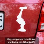 Astuces, découvertes et récits surprenants pour le quotidien