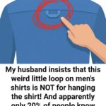 Découverte d’un outil ancien dans une grange : le mystère du fer dentelé