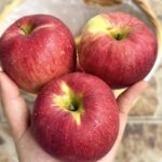 L’appareil de cuisine que vous devriez toujours débrancher la nuit pour éviter les incendies domestiques