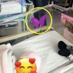 Voici comment enlever la pellicule blanche sur les verres et leur redonner de l’éclat avec une astuce simple