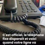 ⚠️ “80 % de l’huile d’olive est fausse” : info ou intox ?