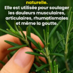 😷 Mauvaise haleine : causes et solutions pour retrouver une haleine fraîche