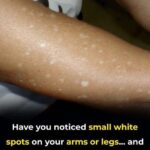 Romarin : une plante médicinale puissante pour soulager la douleur et soutenir la santé naturelle