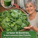 🧠 « 99 % des gens se trompent sur ce problème — saurez-vous le résoudre ? »